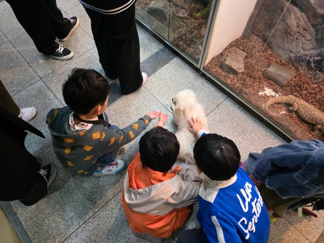 KakaoTalk_20250326_091622821_01.jpg